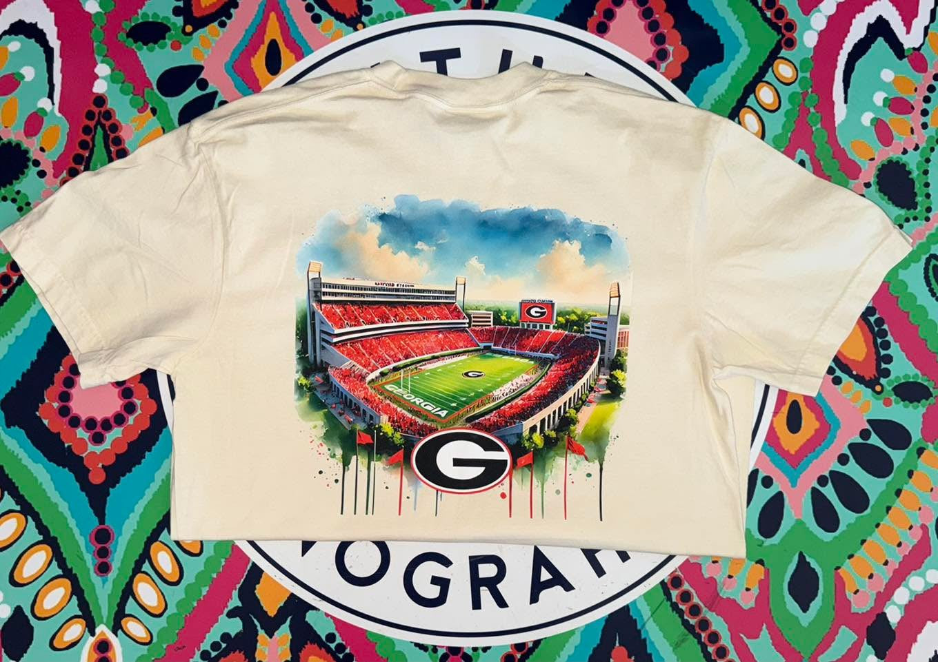 Georgia Bulldogs watercolor stadium